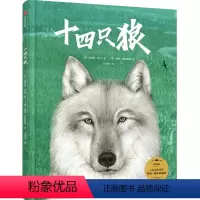 十四只狼 [正版]十四只狼 凯瑟琳巴尔著 入围2022凯特格林纳威奖 改编自美国黄石公园真实生态案例 让孩子深刻理解物种