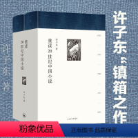 [正版]重读二十20世纪中国小说 许子东著百年中国小说 百年中国小说 百年中国故事 许子东小说课的镇箱之作