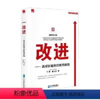 [正版]改进 高成长组织的系统原则 丁晖等 著 管理
