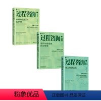 [正版]过程咨询套装3册 过程咨询Ⅰ组织发展中的作用过程咨询Ⅱ顾问与管理者的必修课过程咨询Ⅲ建立协助关系 埃德加沙因等