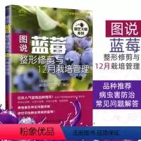 [正版]图说蓝莓修剪与12月栽培管理 蓝莓种植技术书籍 蓝莓栽培种植技术大全书籍 图说种植蓝莓教程书 科学高效高产