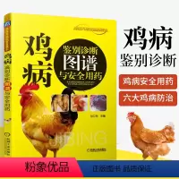 [正版]鸡病鉴别诊断图谱与安全用药 养鸡技术书蛋鸡养殖技术书籍大全鸡病类症鉴别诊断图谱与防治土鸡肉鸡散养鸡养殖及用药鸡