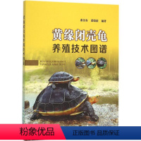 [正版]黄缘闭壳龟养殖技术图谱 张景春 张骏韬 编著 养龟书籍 以图文并茂形式介绍黄缘闭壳龟的专业书籍 乌龟疾病诊断与