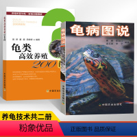 [正版]龟病图说+龟类高效养殖200问 全2册乌龟养殖书养好宠物龟大全宠物乌龟高效养殖技术书龟肠胃炎的书龟病防治龟类图