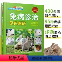 [正版]兔病诊治原色图谱 任克良著 养兔书籍技术大全科学养殖饲养书教程手册指南 准确看病识症 快速鉴别诊断 兔病防