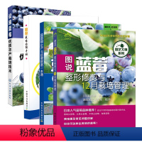 [正版]图说蓝莓修剪与12月栽培管理+生产与经营致富一本通+栽培图解手册+设施蓝莓优质丰产栽培技术共4册 蓝莓种植