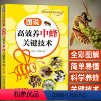 [正版]图说高效养中蜂关键技术 养蜂书籍大全技术蜜蜂中蜂养殖书养蜂养蜜蜂技术教程 蜜蜂养殖技术一本通 中华蜂土蜂饲养新