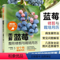 [正版]图解蓝莓修剪与栽培月历 NHK园艺指南 蓝莓种植修剪 病虫害防治图解教程 蓝莓栽培指南 蓝莓植株修剪法