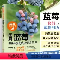[正版]图解蓝莓修剪与栽培月历 NHK园艺指南 蓝莓种植修剪 病虫害防治图解教程 蓝莓栽培指南 蓝莓植株修剪法
