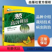 [正版]葱高效栽培 栽葱技术书从入门到精通 分葱高效栽培技术 大葱种子生产技术 大葱病虫害诊断与防治技术 科学种大葱