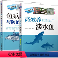 [正版]养鱼书籍技术 大全一本通 草鱼养鱼书 高效养淡水鱼+鱼病快速诊断与防治技术 养殖鱼病图谱水产淡水鱼青鱼鲤鱼书