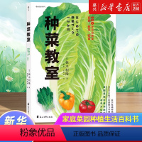 [正版]书店 种菜教室 彩色插图园艺家庭菜园种植生活百科书籍