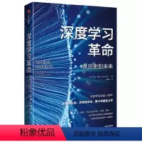 [正版]深度学习革命(从历史到未来)