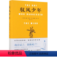 [正版]驭风少年(精)