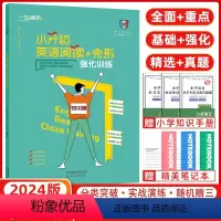 [正版]2024版一飞冲天小升初英语阅读与完形强化训练专项强化训练能力巩固提升天津各市区+全国各地小升初真题荟萃一飞冲