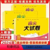 语数英[人教版] 三年级下 [正版]2024版通成学典拔尖特训大试卷语文数学英语一二三四五六年级上下册人教版北师版PEP