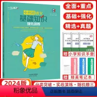 [正版]2024新版一飞冲天小升初语文基础知识强化训练积累与运用巩固提升汉语拼音词语的理解与运用句型变换扩句缩句关联句