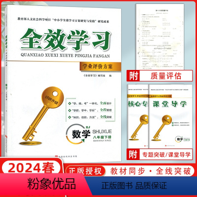 数学 八年级下 [正版]2024春全效学习学业评价方案八年级下册数学8年级中考人教版同步练习册学练考一体化 知识技能方法