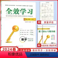 数学 七年级下 [正版]2024春全效学习学业评价方案七年级下册数学人教版同步练习册、试卷、答案、核心专题突破小册子