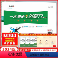 语文 小学四年级 [正版]2024春一飞冲天小复习小学语文四年级下册4下同步课后复习测试练习资料天津适用单元测试月考期中