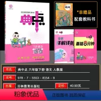 语文 六年级下 [正版]2024春 荣德基小学系列 典中点综合应用创新题六年级语文下册 R人教版 六年级下册同步练习
