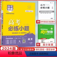[正版]2024版 高考快递 新高考版 高考必练小题 语文高中基础题高中小题一轮复习高三小题小题狂练高考基础题高中小题
