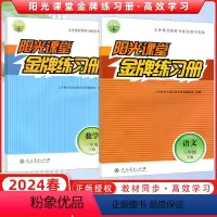 [正版]2024春阳光课堂金牌练习册小学三年级下册语文数学2本 人教版 3年级下册 语文+数学 人民教育出版社 同步练