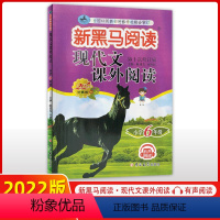 语文 [正版]2022六年级现代文课外阅读理解训练题第十次修订通用版 小学6年级上册下册小学生语文拓展阅读同步专项训练注