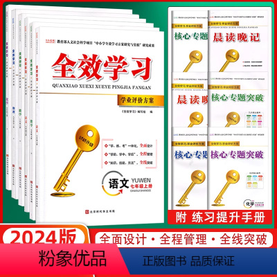 数学 九年级上 [正版]2025版全效学习学业评价方案七年级八年级九年级上册下册物理7年级下8年级下九9年级下数学化学语