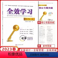 化学 九年级下 [正版]2023春全效学习学业评价方案九年级下册化学9年级中考人教版同步练习册学练考一体化 知识技能方法