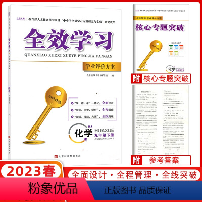 化学 九年级下 [正版]2023春全效学习学业评价方案九年级下册化学9年级中考人教版同步练习册学练考一体化 知识技能方法