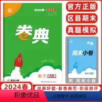 数学 [正版]2024新版通成学典卷典六年级下册数学人教版 6年级小学数学人教版同步教辅单元月度期中期末28套试卷 卷卷