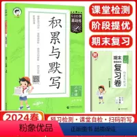 语文 [正版]2024春季小学语文积累与默写六年级下册通用版53小学基础练6年级下册看拼音写词语汉语拼音积累背诵