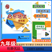 图形与几何 九年级 [正版]2023版龙门中学启东培优微专题9年级图形与几何初三九年级上下册初中数学专项练习作业本复习资