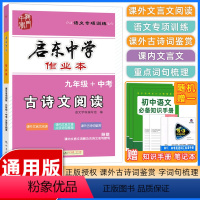 古诗文阅读 九年级/初中三年级 [正版]2023新版启东中学作业本古诗文阅读九年级中考语文阅读理解 初中语文课内课外文言