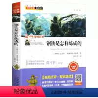 钢铁是怎样炼成的 [正版]钢铁是怎样炼成的 原著 初中小学生课外阅读书籍七八年级上册名著青少年无障碍完整版三四五六年级经