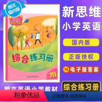 综合和练习册3B [正版]新思维小学英语朗文国内版 香港朗文小学香港Longman New Welcome to Eng