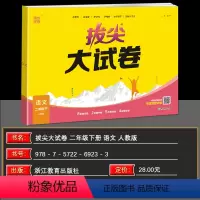 语文 二年级下 [正版]2024春新版通成学典拔尖特训大试卷语文二年级下册人教版同步练习小学2年级下册RJ版单元语文专项