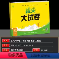 数学 二年级下 [正版]2024春新版通成学典拔尖特训大试卷数学二年级下册人教版同步练习小学2年级下册RJ版单元数学专项