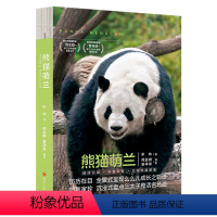 [正版]熊猫萌兰