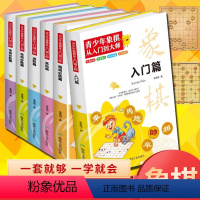 [正版]青少年象棋从入门到大师全6册 象棋书籍大全棋谱 儿童象棋入门书籍初学者基础教程 中国象棋入门与提高全盘布局战略