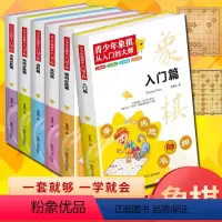 [正版]青少年象棋从入门到大师全6册 象棋书籍大全棋谱 儿童象棋入门书籍初学者基础教程 中国象棋入门与提高全盘布局战略