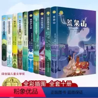 正版10册纽伯瑞 国际儿童文学大奖作品集 [正版]纽伯瑞国际儿童文学金奖小说系列全套10册中小学生三四五六年级老师课外书