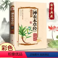 [正版]神农本草经古籍原版原著全彩珍藏版中医药学典藏彩色图鉴实用的现代家庭养生全书指导现代人的日常食疗食养中医养生保健