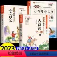 [全套3册]古诗词+文言文+小古文 小学通用 [正版]小学生必背古诗词75首十80首人教版一到六年级小学语文必背古诗和文