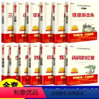 红色经典全套13本[电影插图+彩图插图] [正版]小兵张嘎 三毛流浪记 鸡毛信 红孩子 平原游击队 铁道游击队小学生红色
