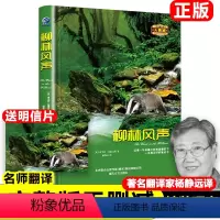 精装柳林风声 [正版]精装柳林风声无删减原著原版 英肯尼斯·格雷厄姆 著 杨静远 译小学生课外书阅读书籍