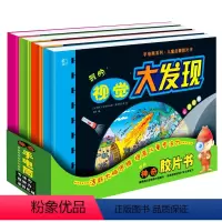 视觉大发现4册 [正版]视觉大发现小手电大探秘系列手电筒照书 电筒大揭秘 我的第一次发现神奇胶片书 儿童全景视觉视觉大发