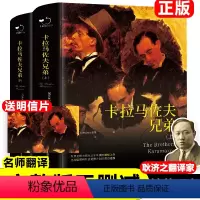 1精装卡拉马佐夫兄弟(上下) [正版]精装卡拉马佐夫兄弟上下2册原著无删减全译本耿济之译陀思妥耶夫斯基著 世界名著外国小