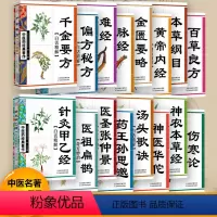 [正版]共16本黄帝内经本草纲目金匮要略脉经难经千金要方伤寒论神农本草经汤头歌诀针灸甲乙经百草良方秘方神医华佗孙思邈张